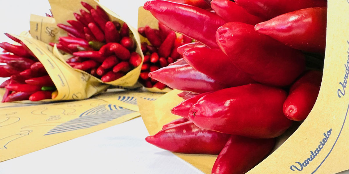 Agricola Azzurra: riparte la raccolta del Vardacielo